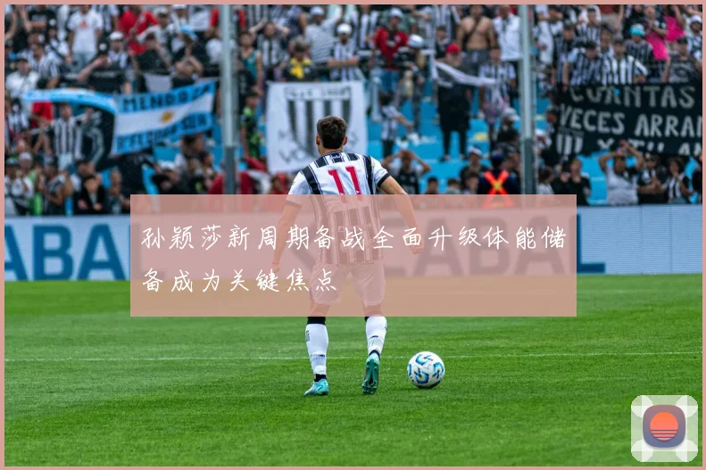 孙颖莎新周期备战全面升级体能储备成为关键焦点