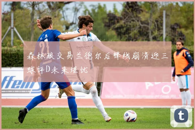 森林狼交易兰德尔后锋线崩溃迎三球评D未来堪忧