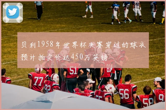 贝利1958年世界杯决赛穿过的球衣预计拍卖价达450万英镑